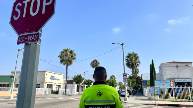 Peak Security on Avalon